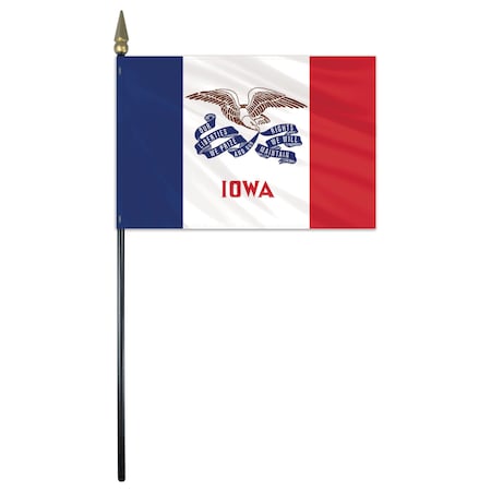 Iowa E Gloss Stick Flag 12x18